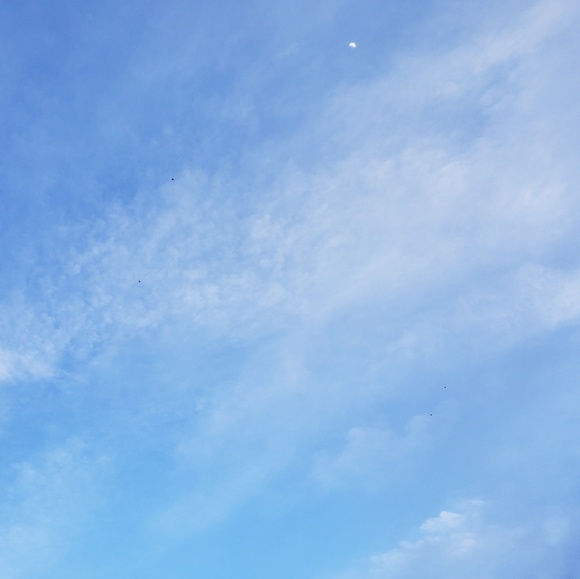 Meet your Posher, Kylie - Picture 1 of 1